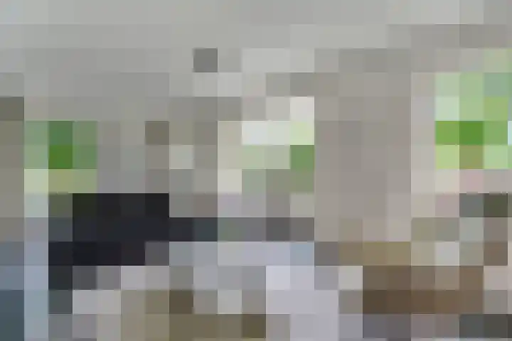 Tellerswerft 34 Nijkerk thumbnail 5