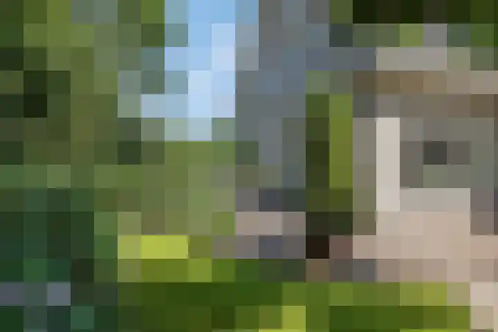 Tellerswerft 34 Nijkerk thumbnail 50