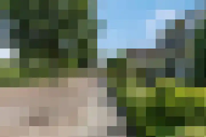 Tellerswerft 34 Nijkerk thumbnail 55