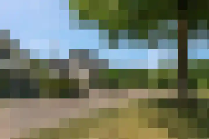 Tellerswerft 34 Nijkerk thumbnail 60