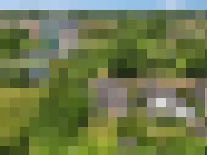 Tellerswerft 34 Nijkerk thumbnail 63