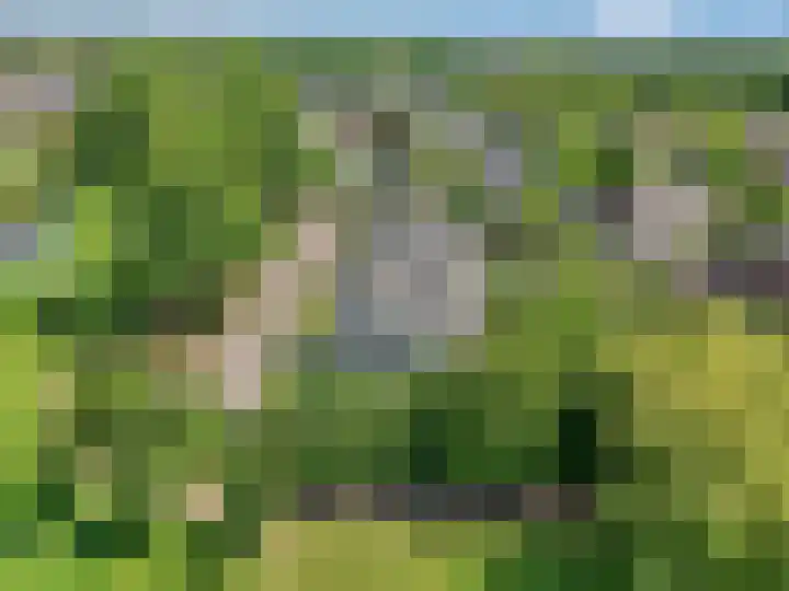 Tellerswerft 34 Nijkerk thumbnail 64