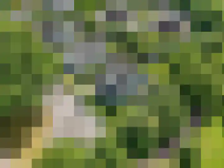 Tellerswerft 34 Nijkerk thumbnail 65