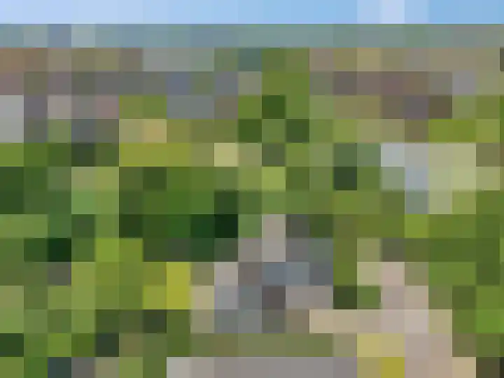 Tellerswerft 34 Nijkerk thumbnail 66