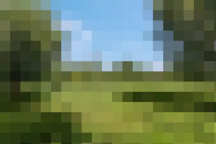 Tellerswerft 34 Nijkerk thumbnail 68
