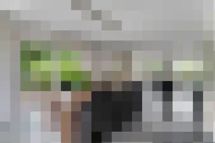 Tellerswerft 34 Nijkerk thumbnail 7