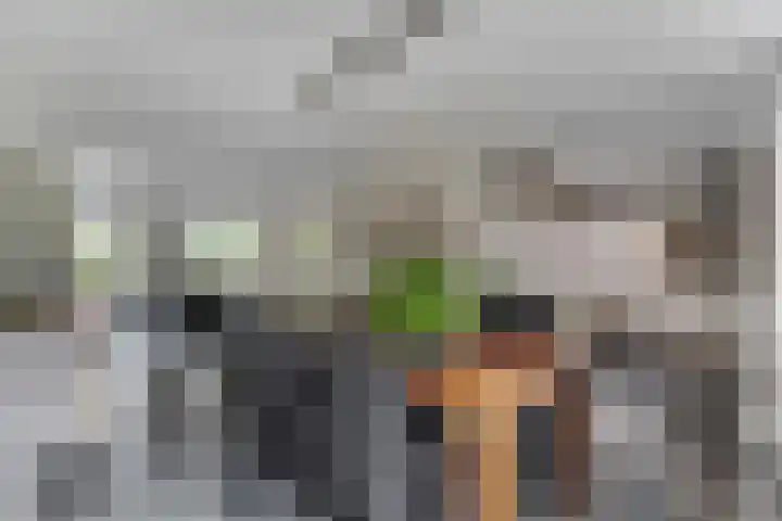 Tellerswerft 34 Nijkerk thumbnail 8