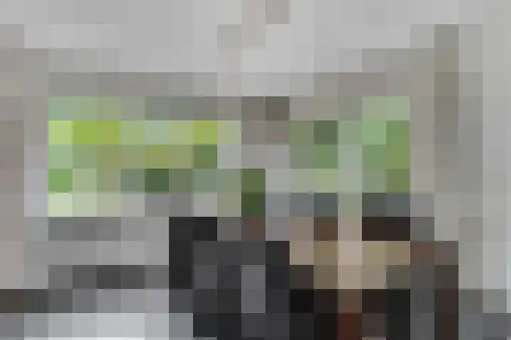 Tellerswerft 34 Nijkerk thumbnail 9