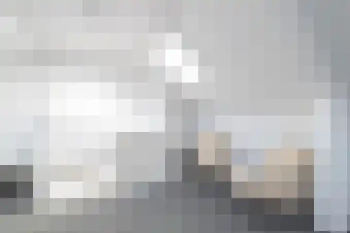 Tellingakker 5 Aalden thumbnail 28