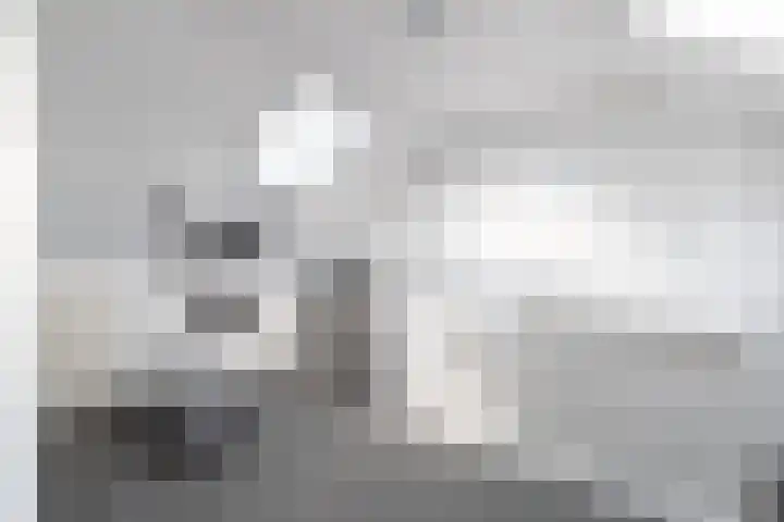 Tellingakker 5 Aalden thumbnail 33