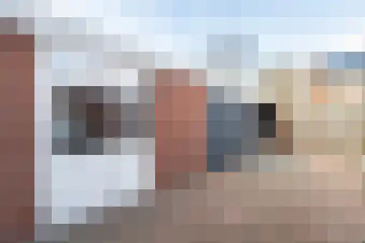 Tellingakker 5 Aalden thumbnail 37
