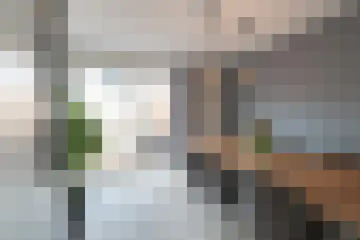 Tellingakker 5 Aalden thumbnail 8