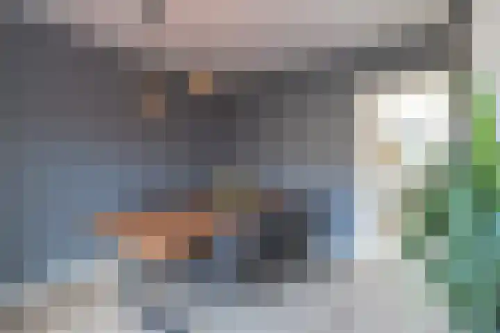 Tellingakker 5 Aalden thumbnail 9