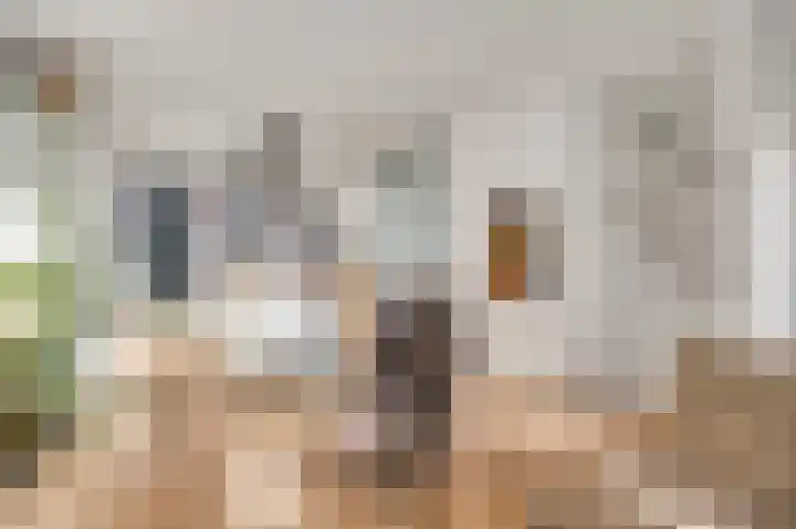 Tellingsstraat 20 Ell thumbnail 11