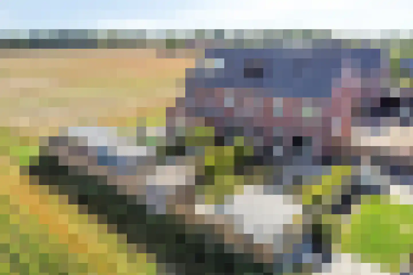 Tellingsstraat 21 Ell thumbnail 5