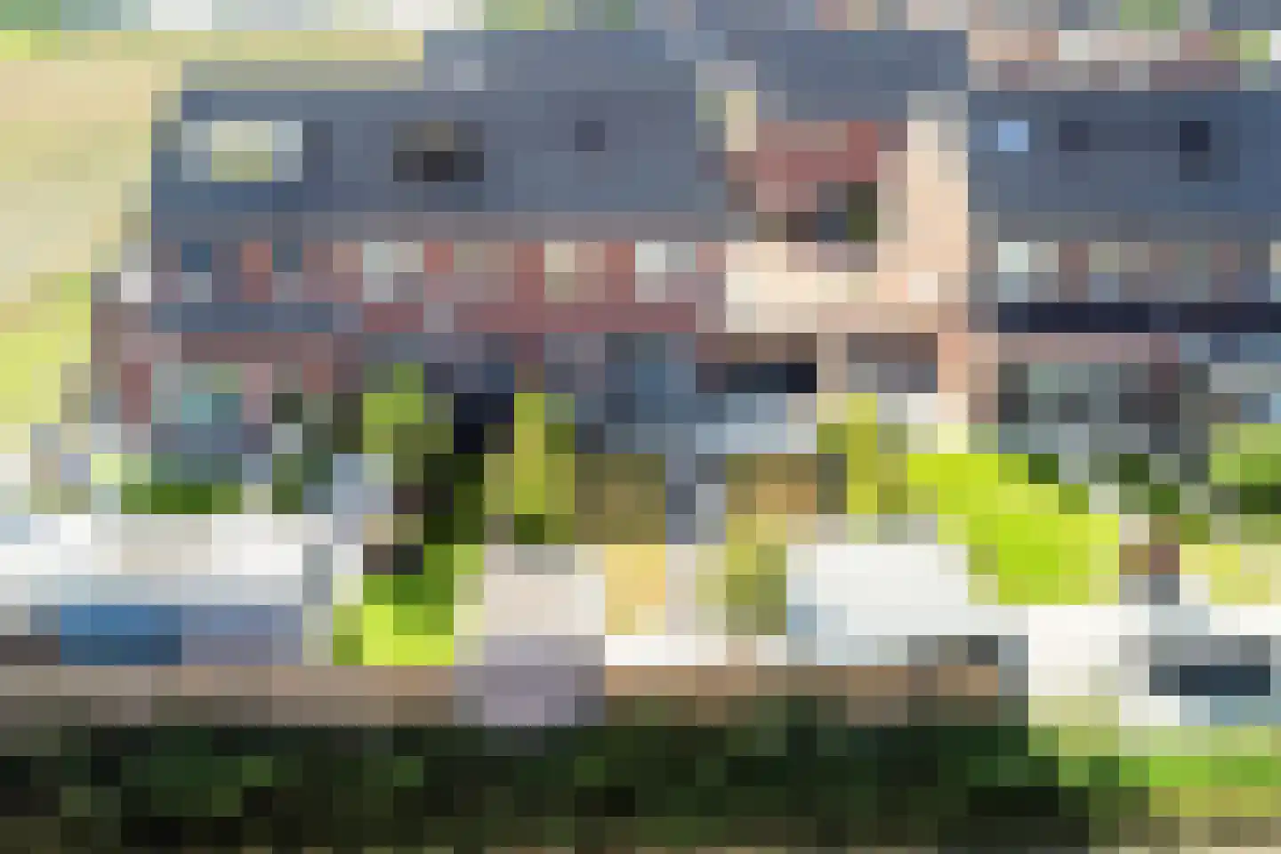 Tellingsstraat 21 Ell thumbnail 8