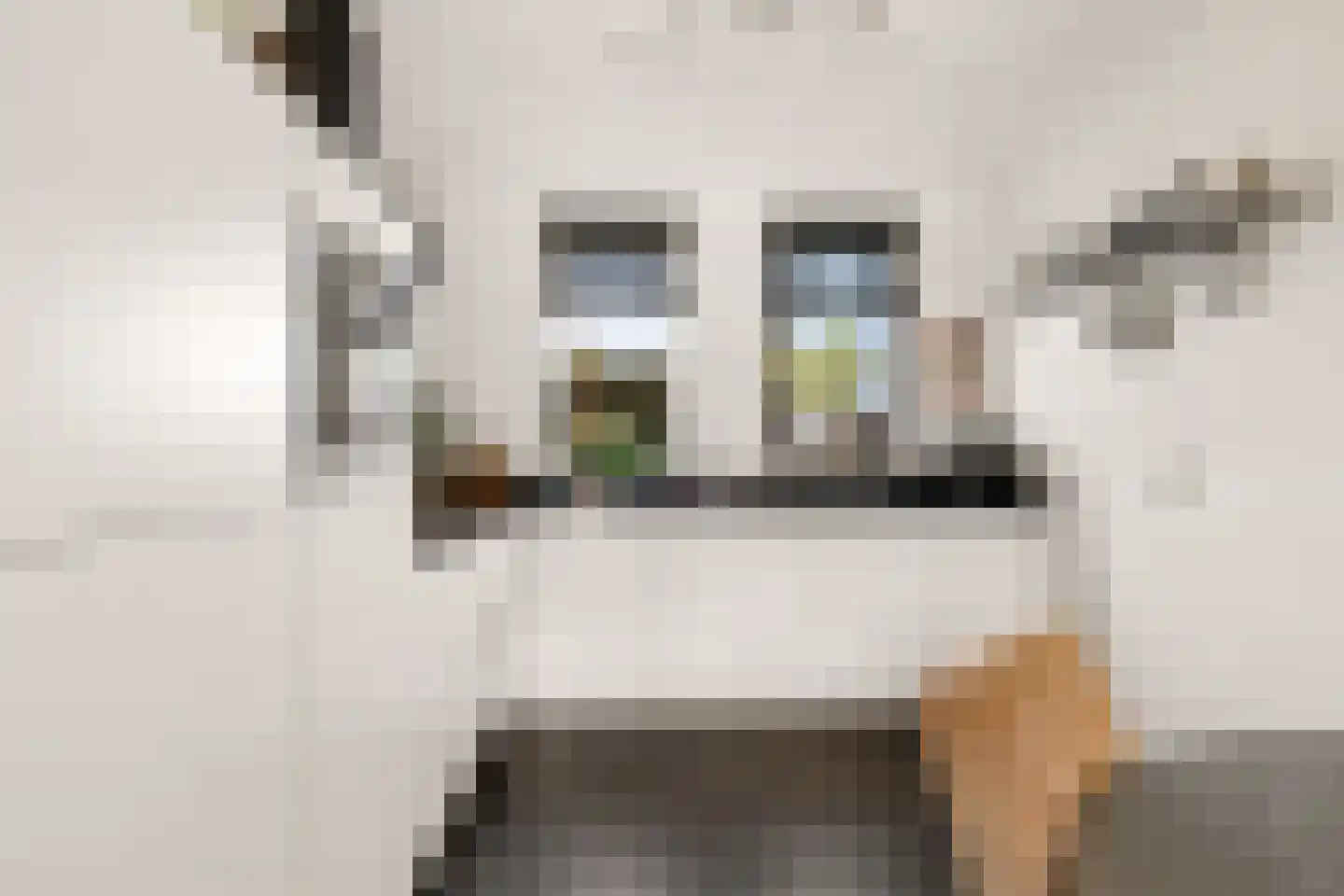 Telluur 16 Zeewolde thumbnail 16