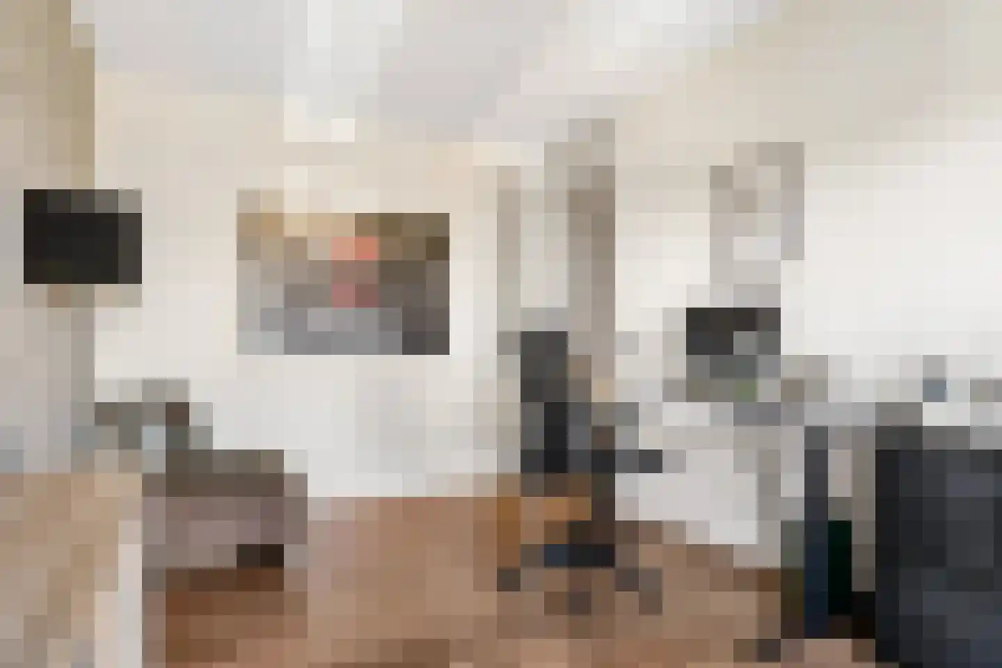 Telluur 16 Zeewolde thumbnail 22