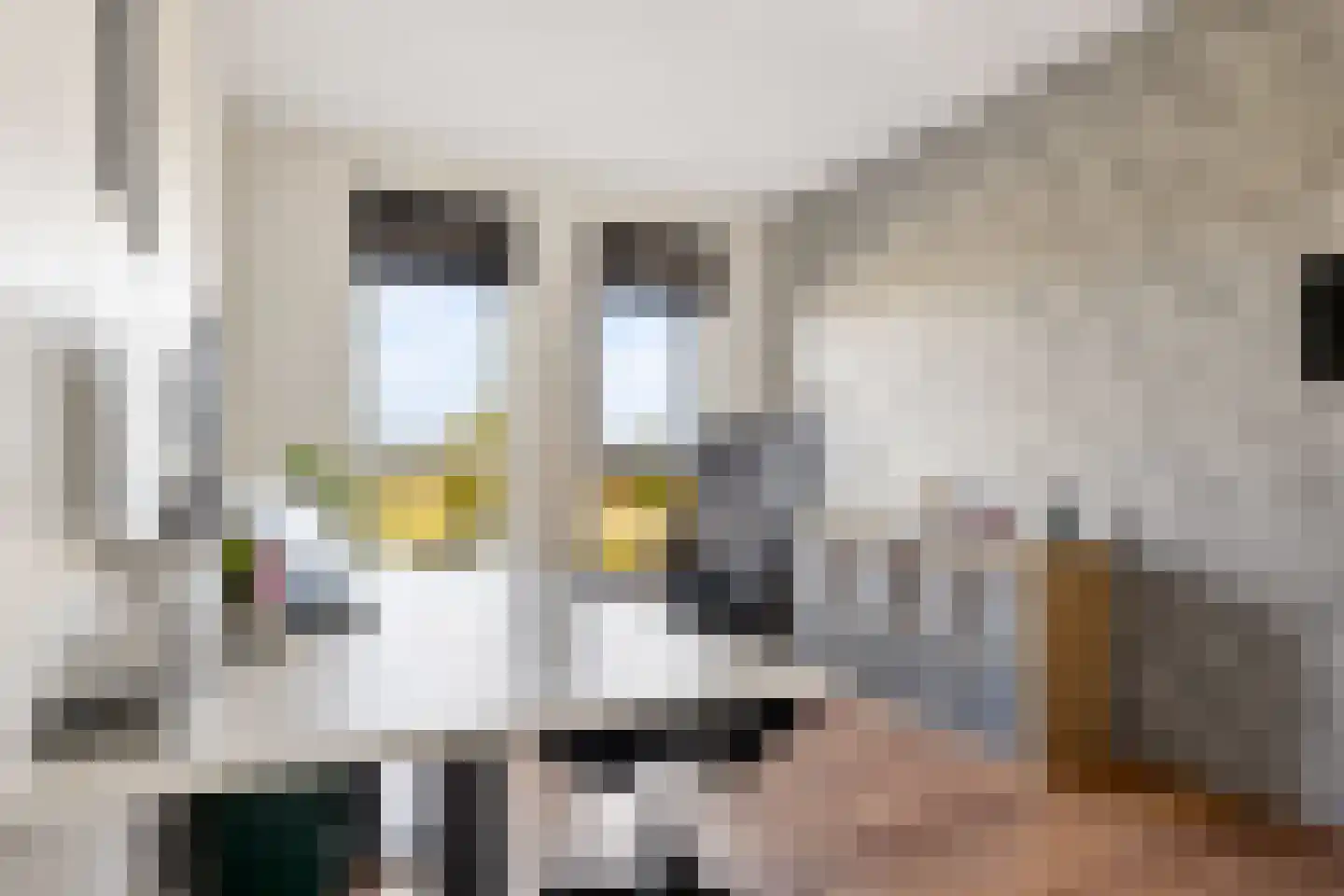 Telluur 16 Zeewolde thumbnail 23