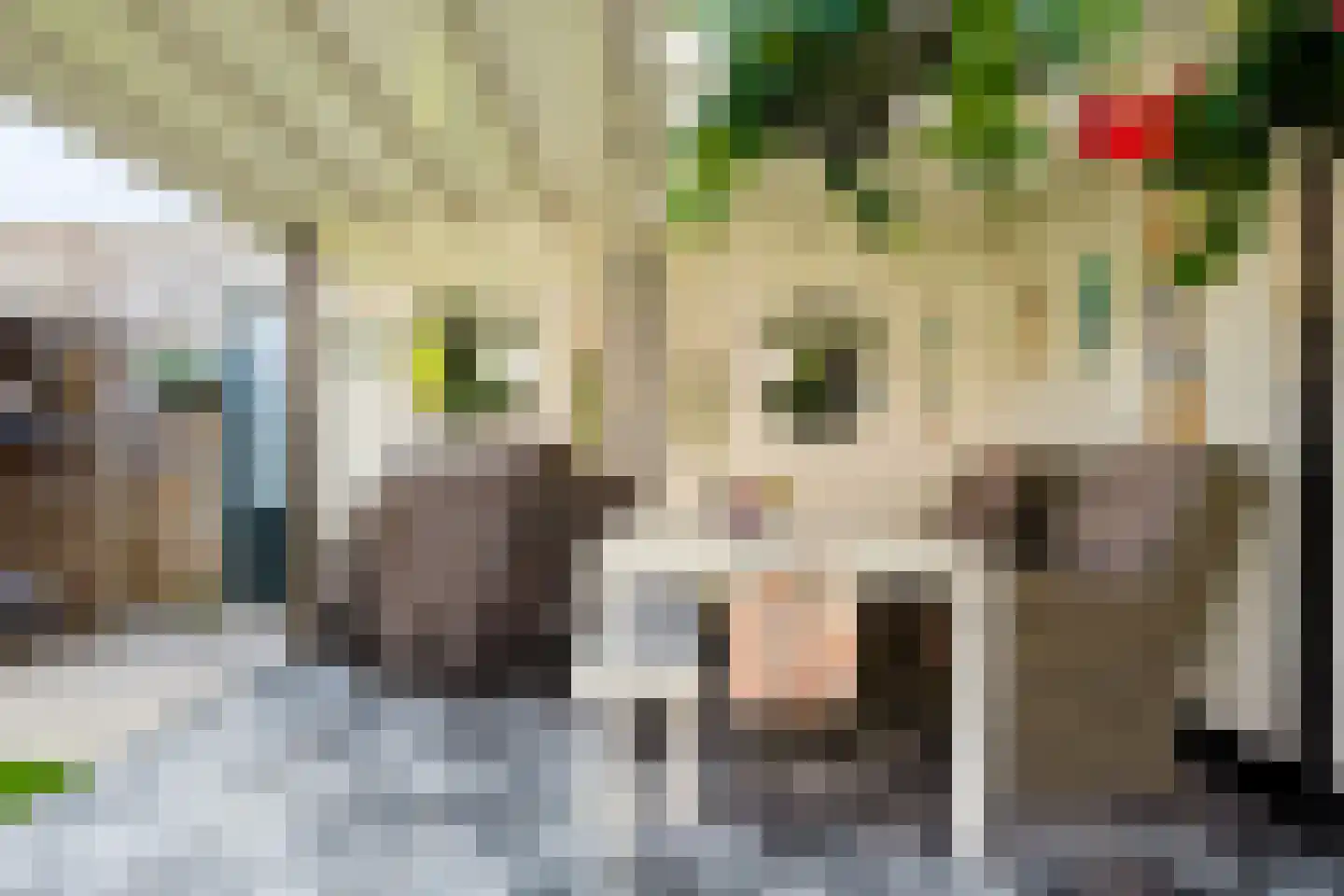 Telluur 16 Zeewolde thumbnail 42