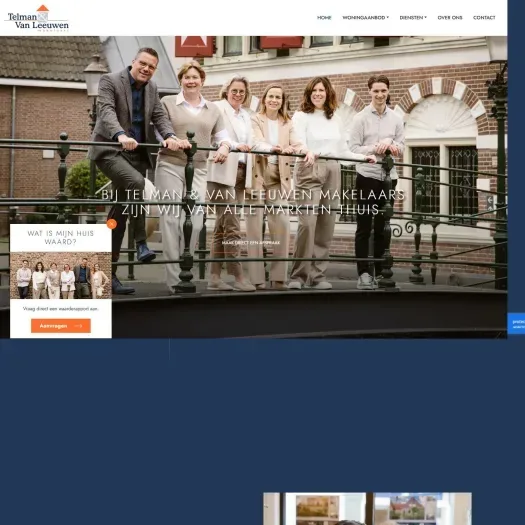 Capture d'écran du site web de www.telmanvanleeuwen.nl