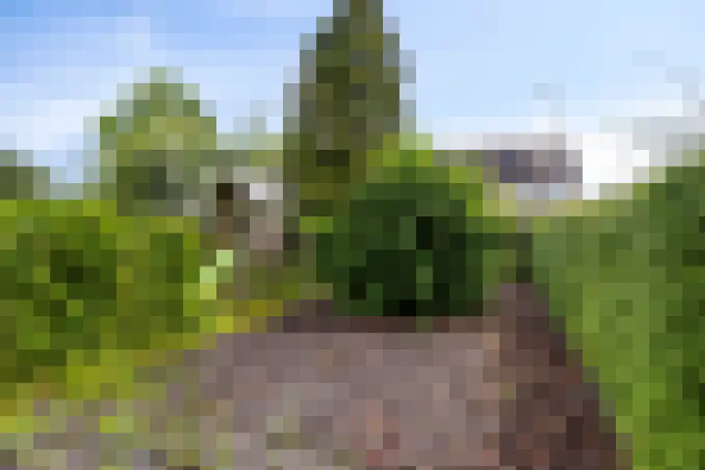 Telstar 107 Hoogezand thumbnail 30