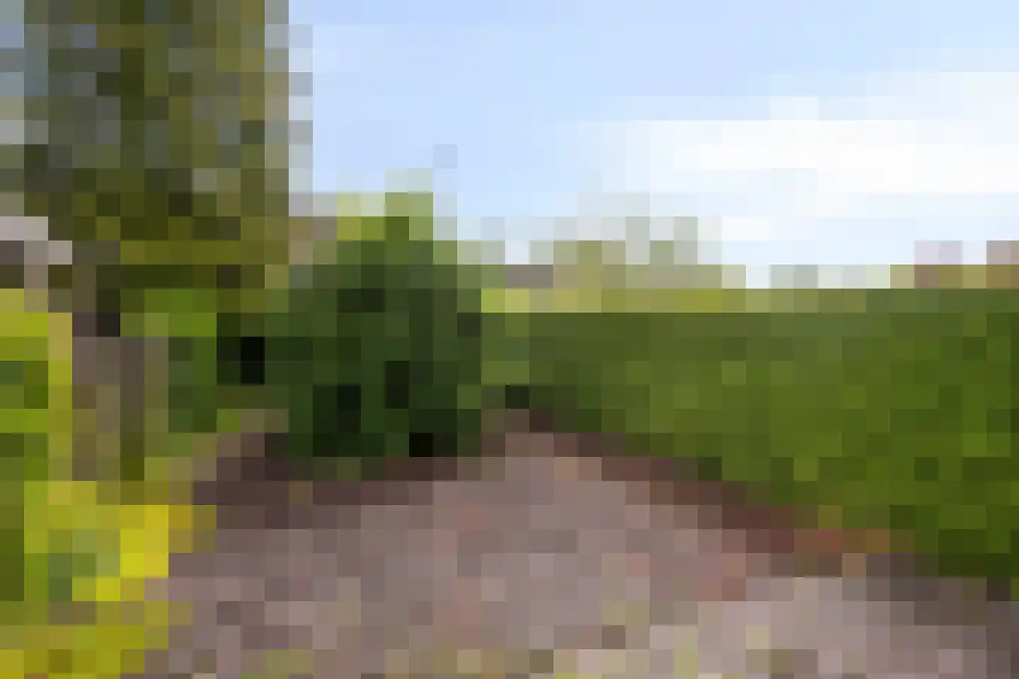Telstar 107 Hoogezand thumbnail 31