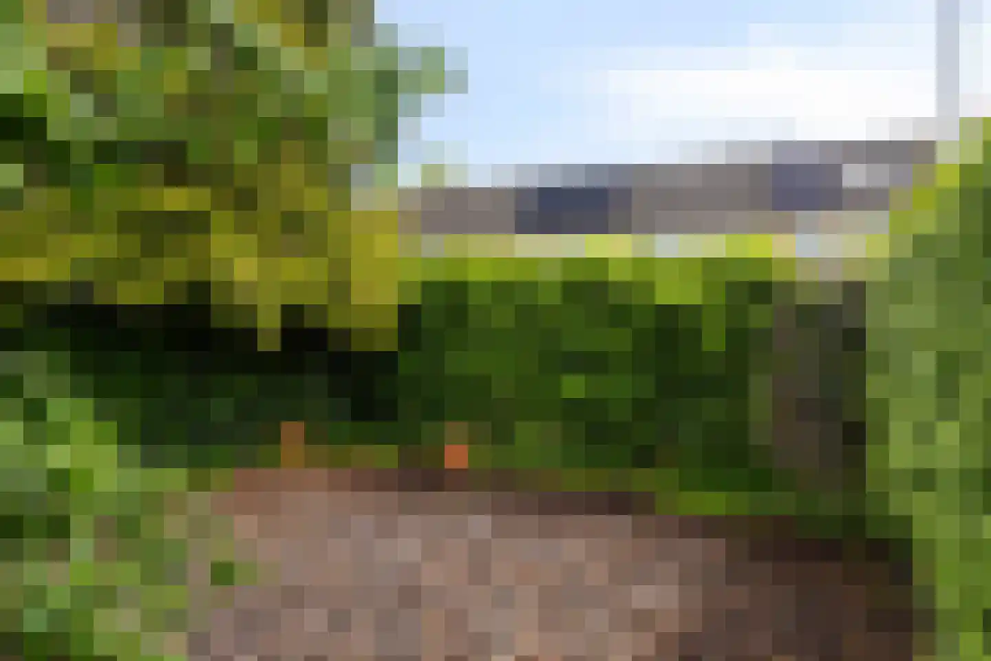 Telstar 107 Hoogezand thumbnail 32