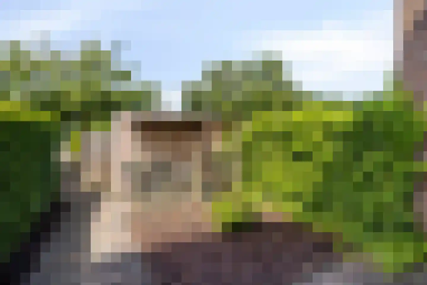 Telstar 107 Hoogezand thumbnail 36