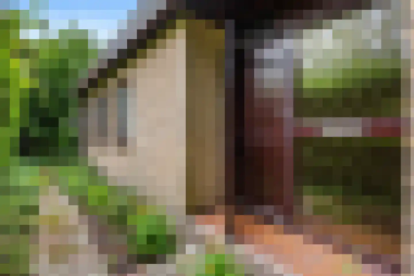 Telstar 26 Hoogezand thumbnail 32