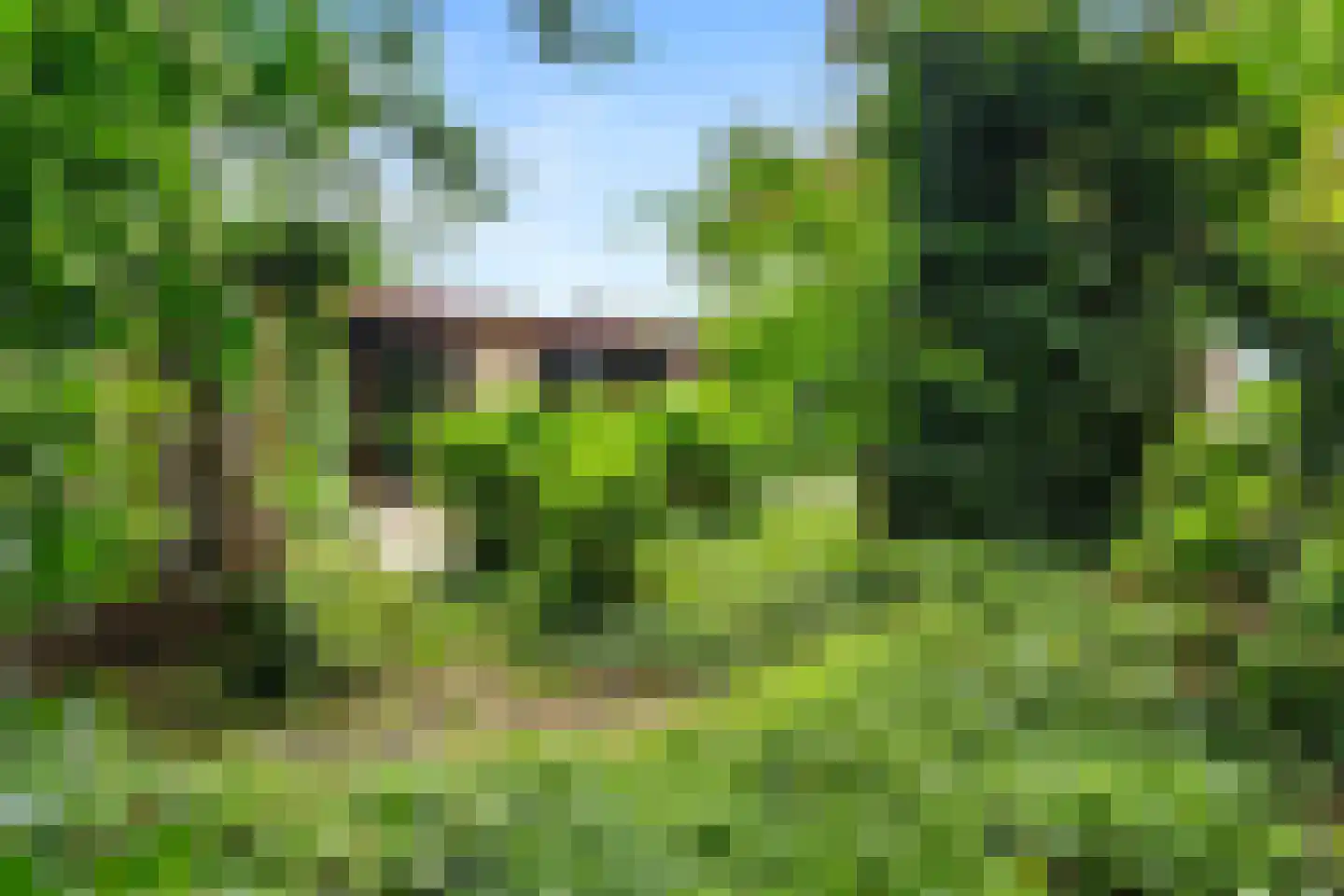 Telstar 26 Hoogezand thumbnail 35