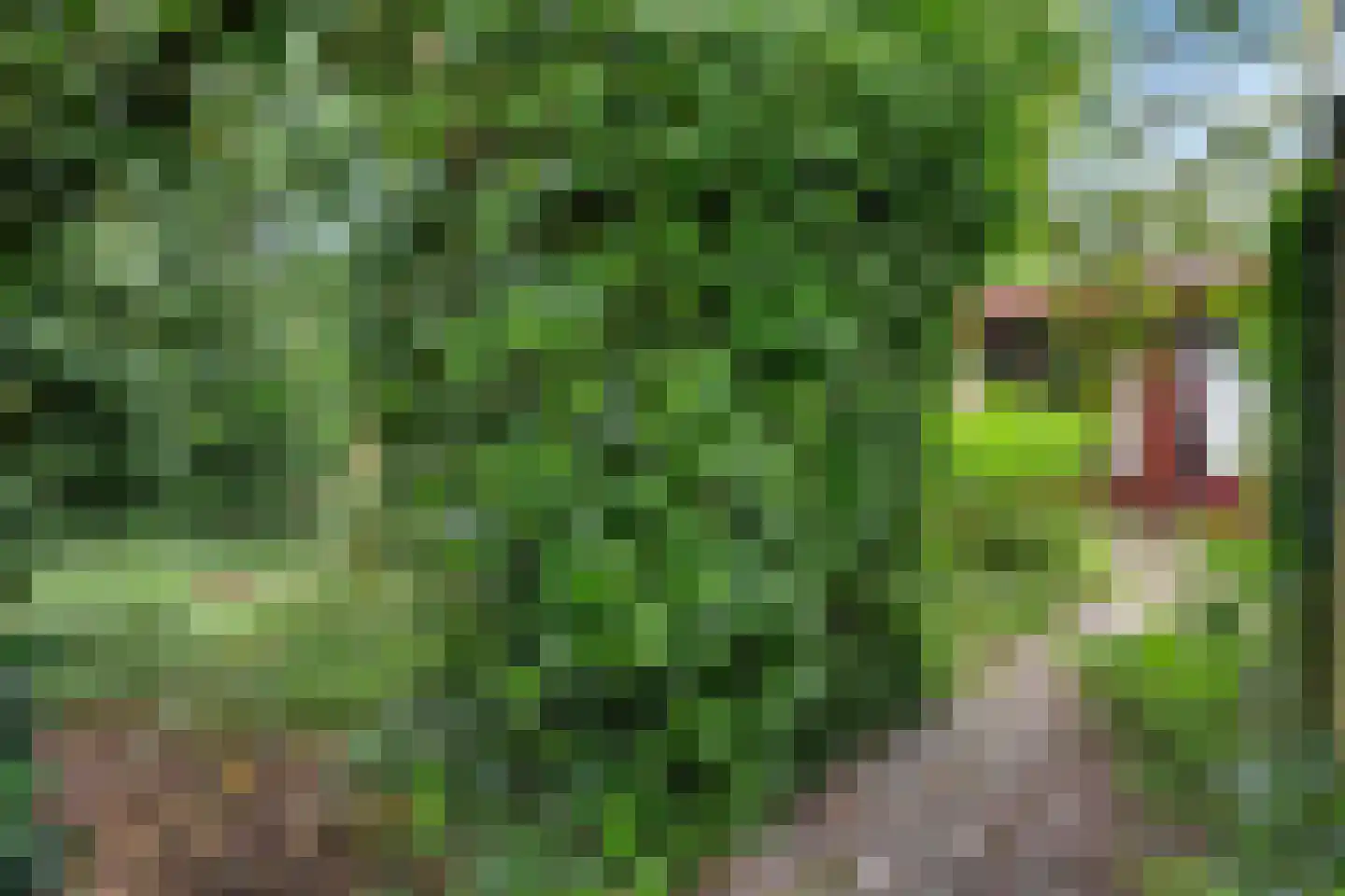 Telstar 26 Hoogezand thumbnail 38