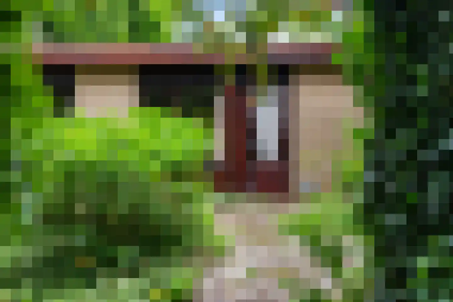 Telstar 26 Hoogezand thumbnail 39