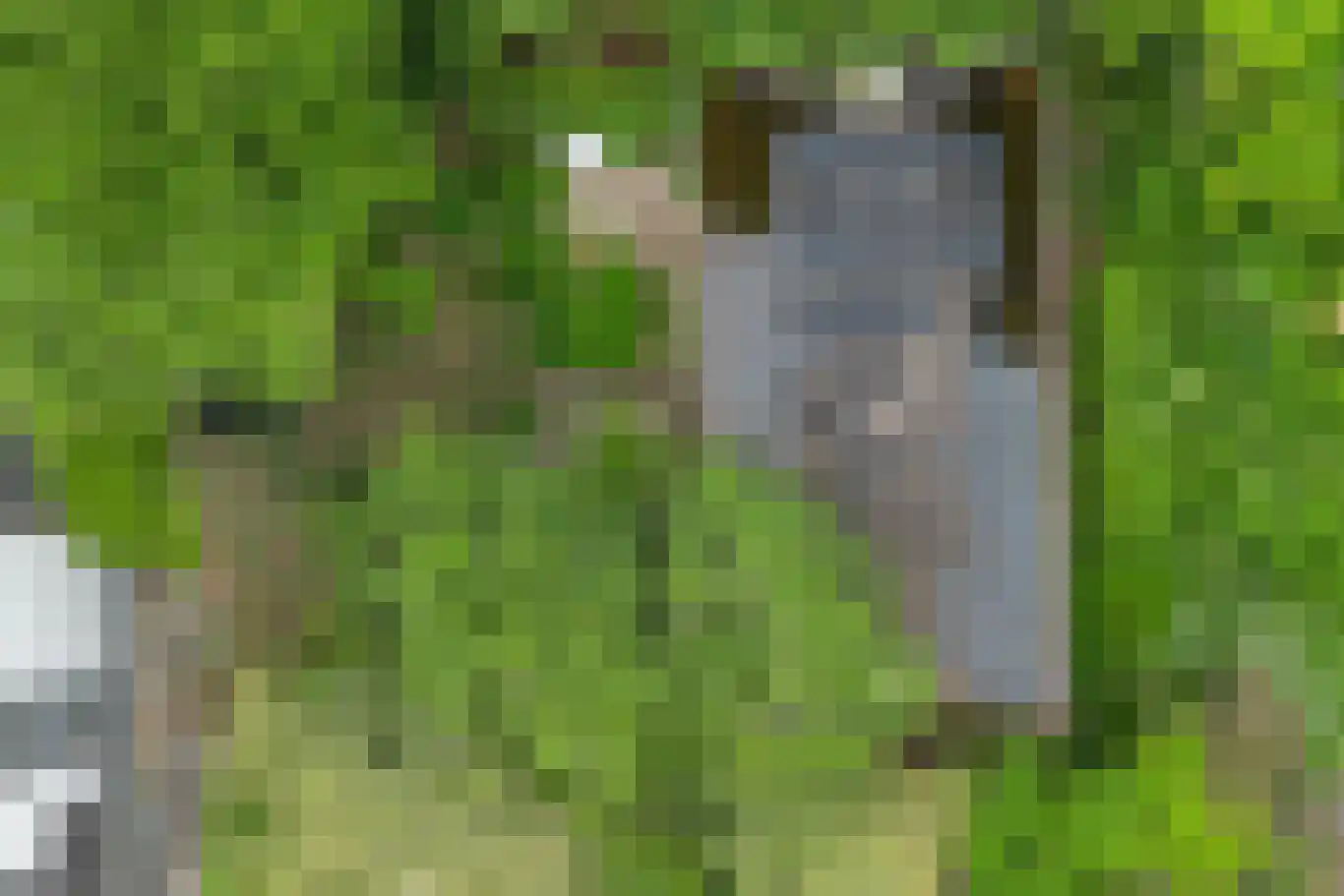 Telstar 26 Hoogezand thumbnail 5