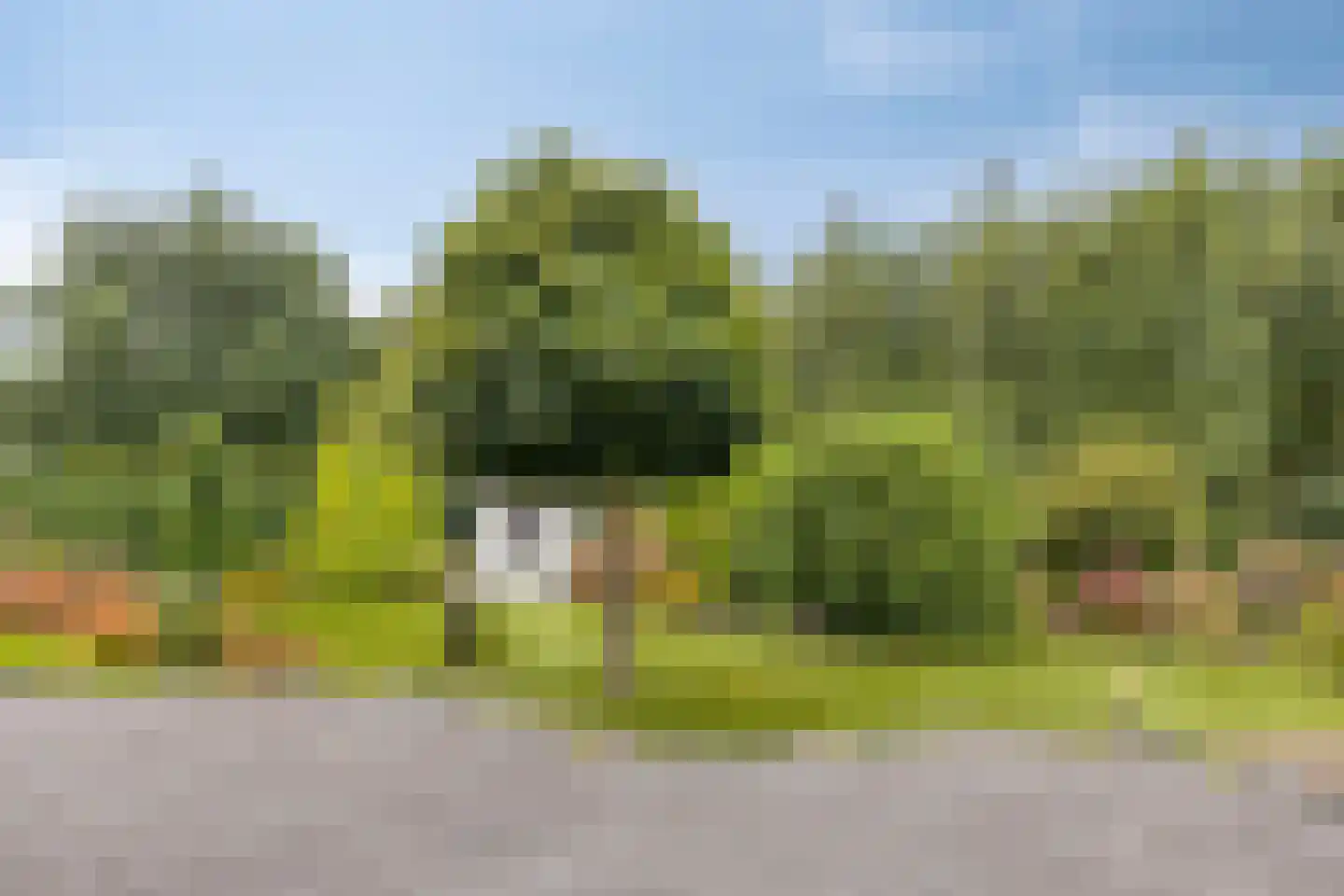 Telstar 27 Hoogezand thumbnail 29