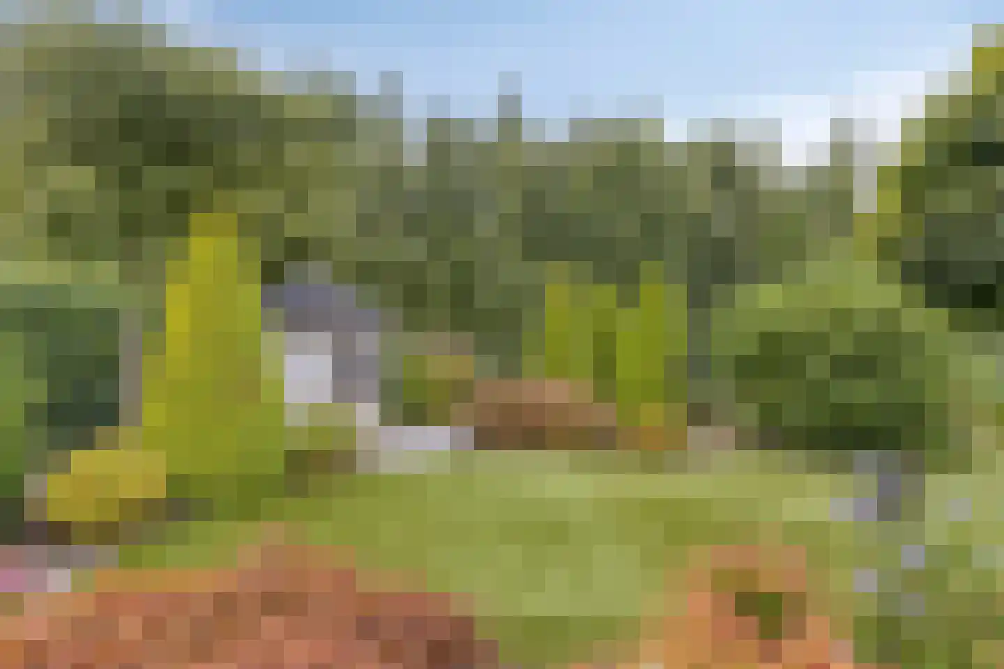 Telstar 27 Hoogezand thumbnail 30