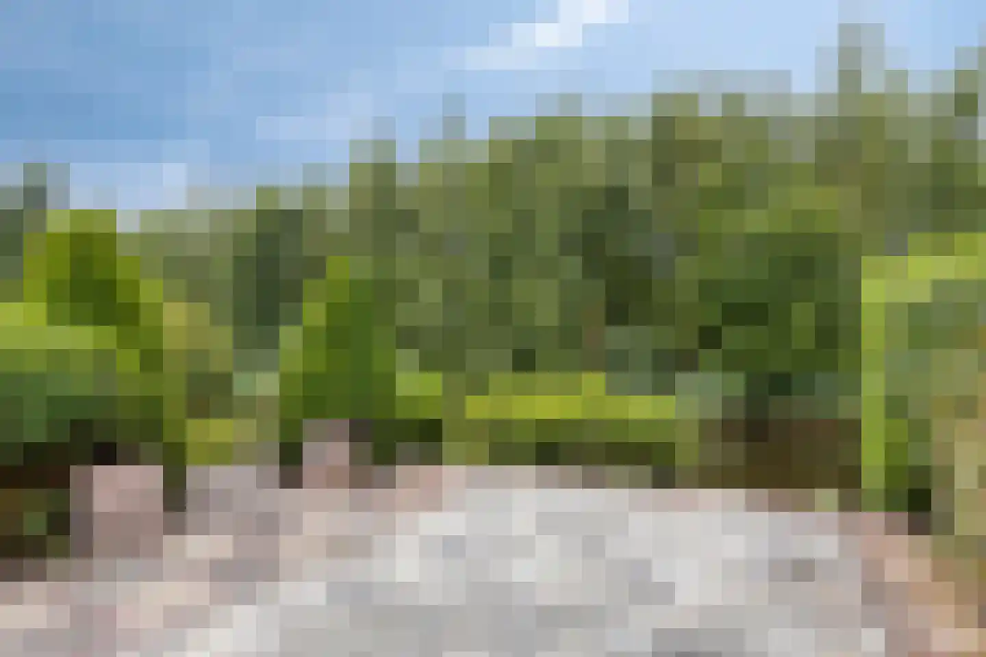 Telstar 27 Hoogezand thumbnail 31