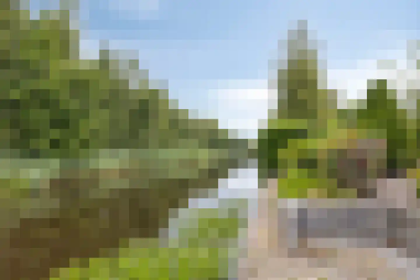 Telstar 27 Hoogezand thumbnail 34