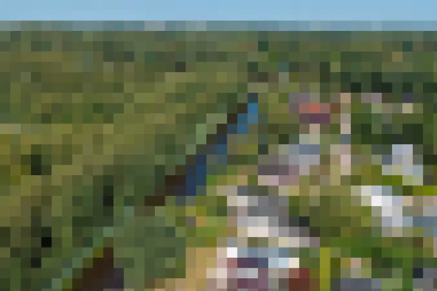 Telstar 27 Hoogezand thumbnail 43