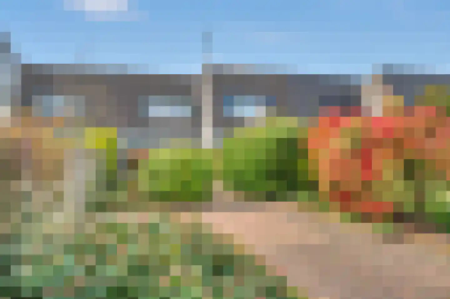 Telstar 66 Hoogezand thumbnail 42