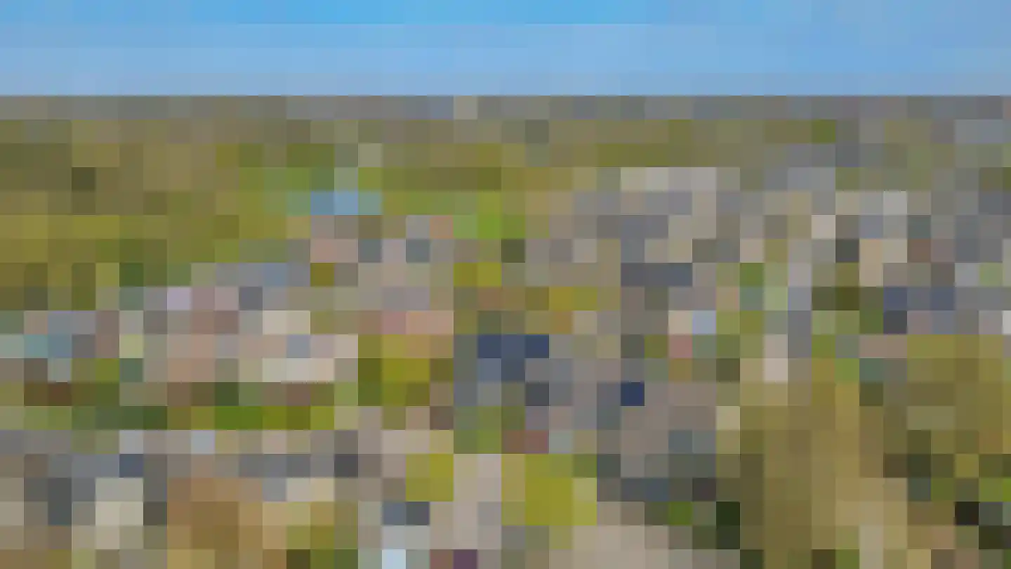 Telstar 66 Hoogezand thumbnail 48