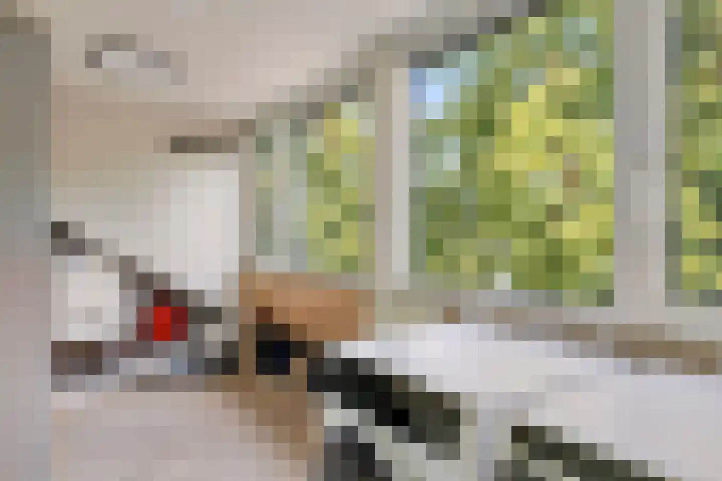 Telstarlaan 48 Oisterwijk thumbnail 33