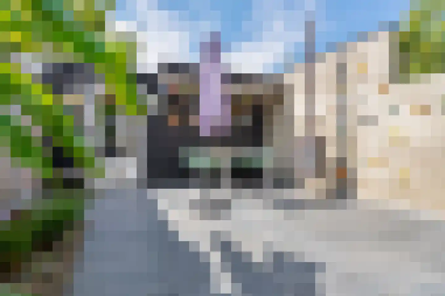 Telstarlaan 48 Oisterwijk thumbnail 39
