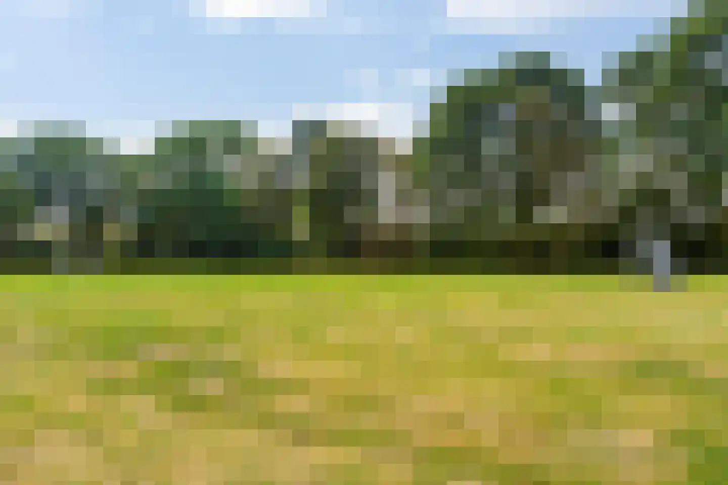 Telstarlaan 48 Oisterwijk thumbnail 44