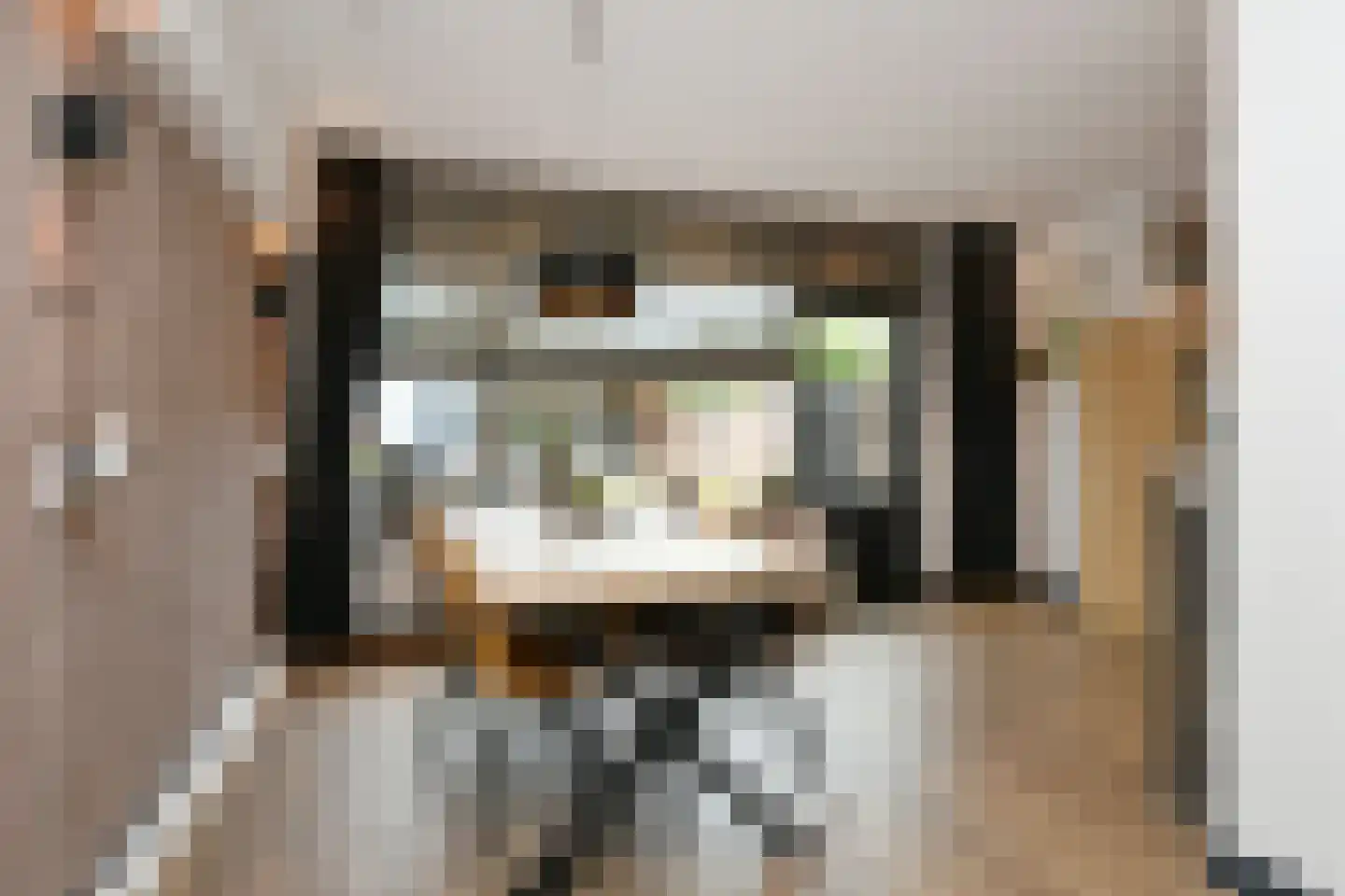 Telstarlaan 68 Oisterwijk thumbnail 14