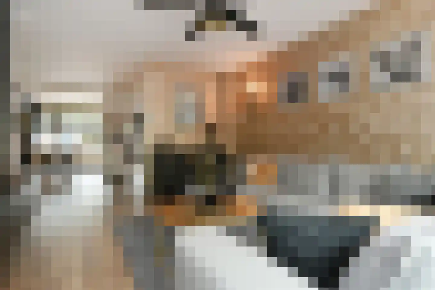 Telstarlaan 68 Oisterwijk thumbnail 7