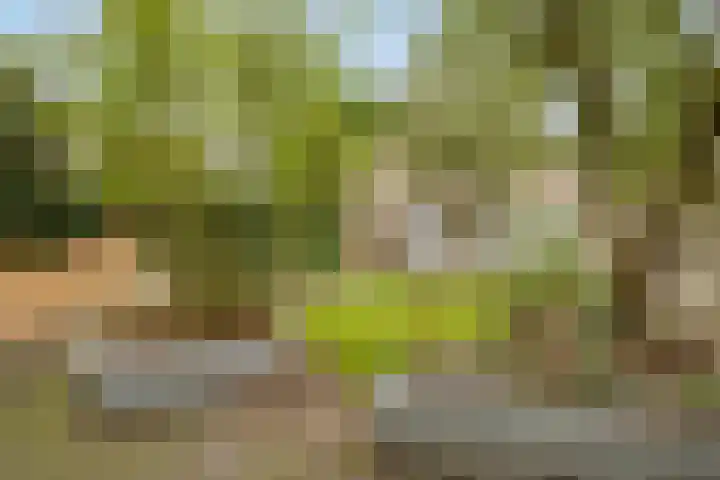 Telstarlaan 7 Oisterwijk thumbnail 20