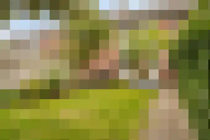Telstarlaan 7 Oisterwijk thumbnail 21