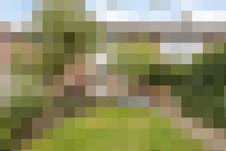 Telstarlaan 7 Oisterwijk thumbnail 22
