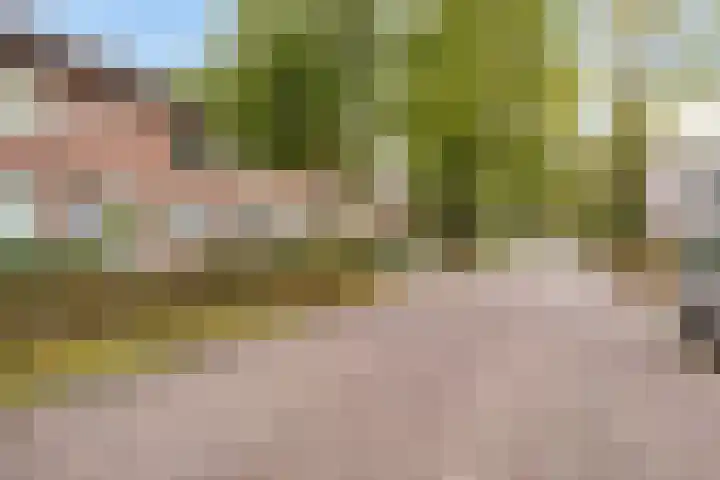 Telstarlaan 7 Oisterwijk thumbnail 24